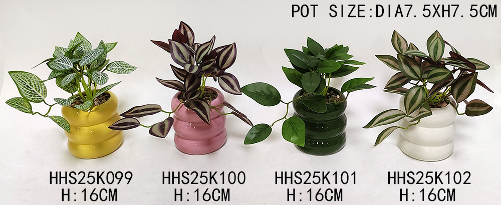 HHS25K099-100-101-102