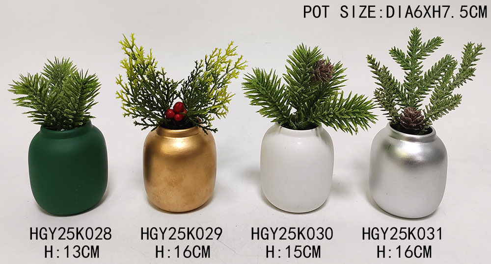 HGY25K028-0290-30-031