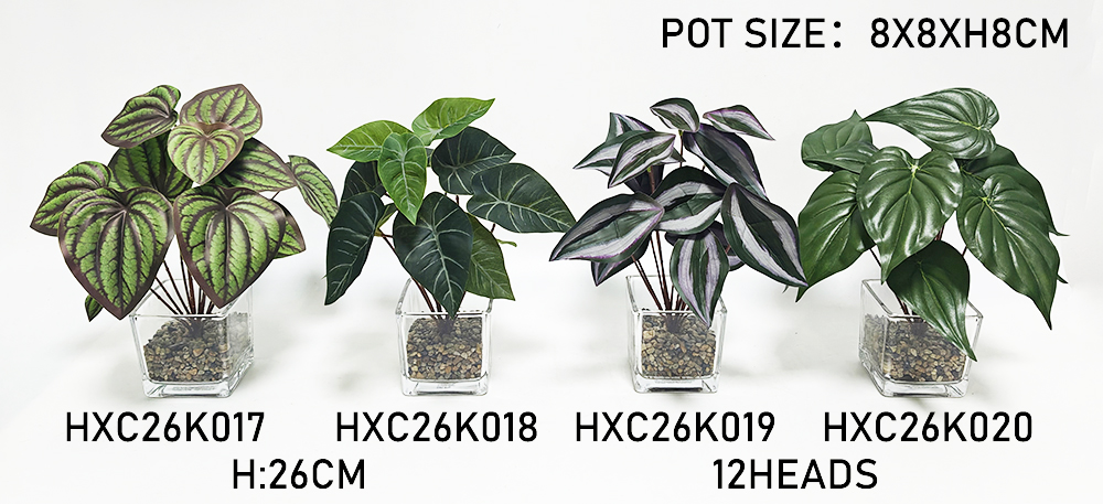 HXC26K017-018-019-020