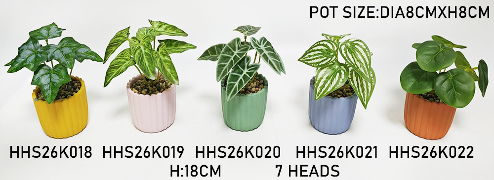 HHS26K018-019-020-021-022