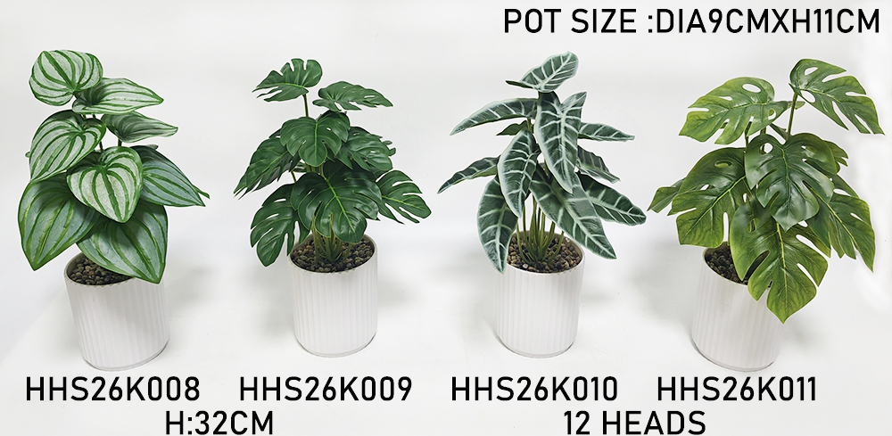 HHS26K008-009-010-011