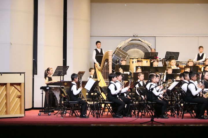 2025洛阳市东升第一小学乐团成员选拔正式启动