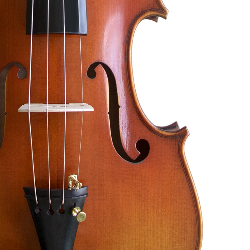 大师特制小提琴