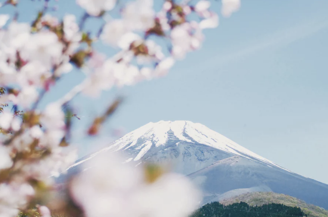 知识分享丨四季是一场做不完的梦
