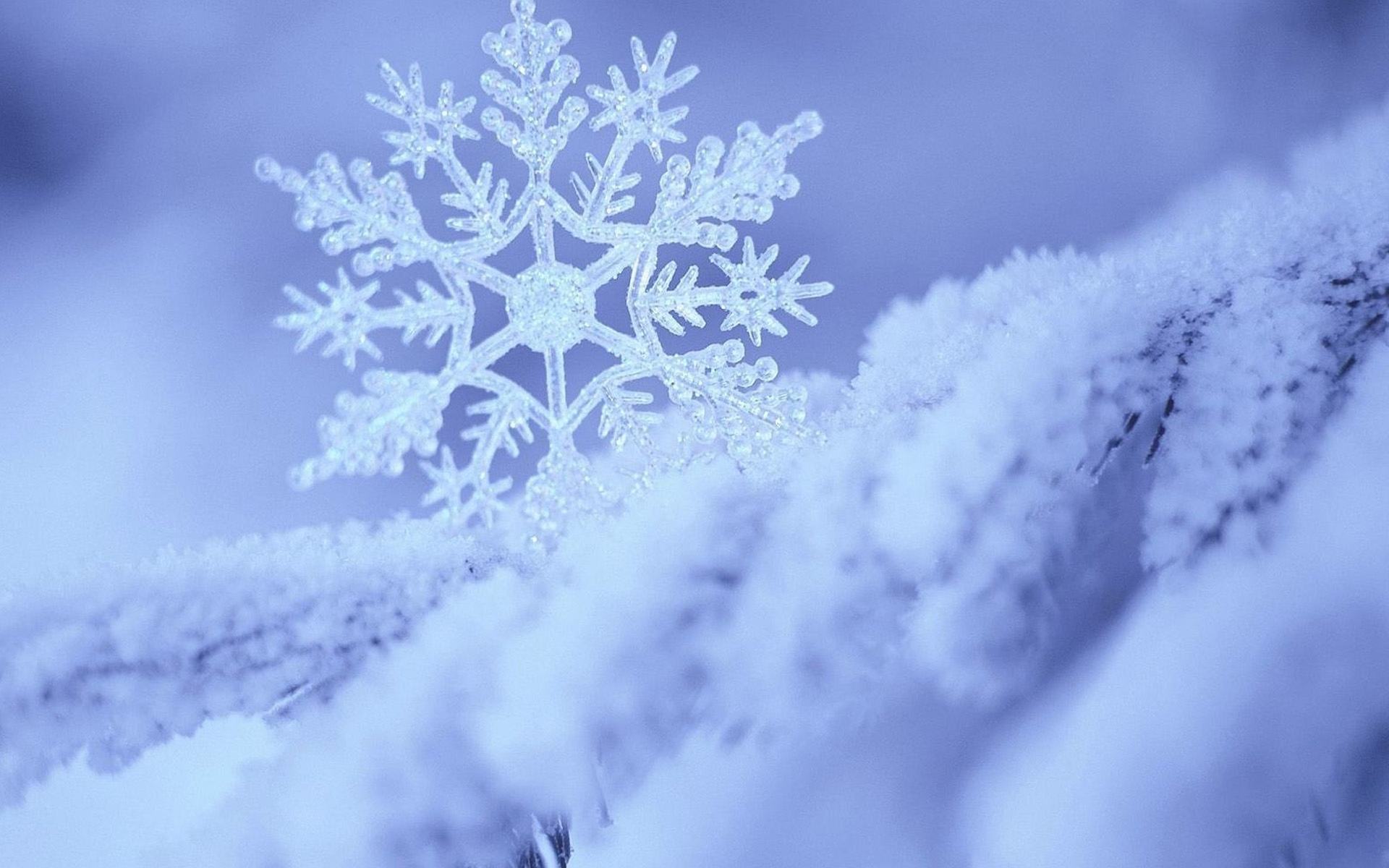 【乐器专栏】各类乐器的冬季保养法