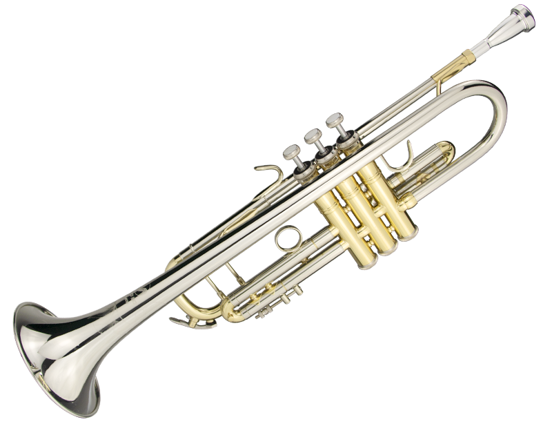 【乐器专栏】如何选购小号乐器