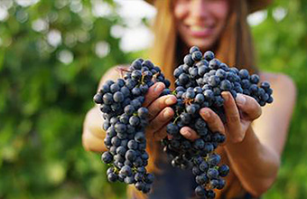 葡萄牙葡萄酒将在ProWine Shanghai 2025大放异彩