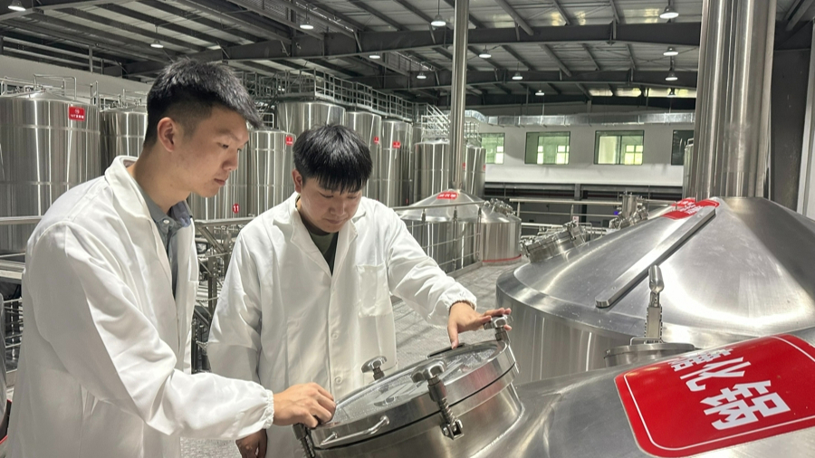 沪滇协作创造“工业造血”新样板，一杯精酿啤酒今夏端上百姓餐桌
