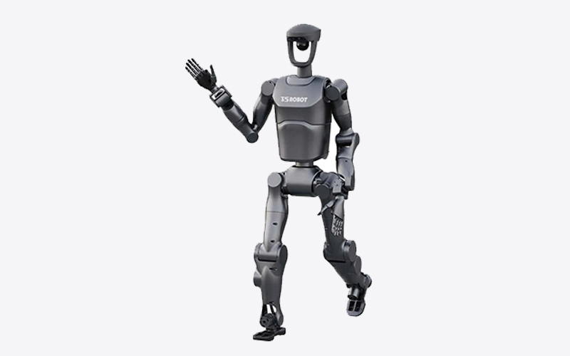 Humanoid Robot