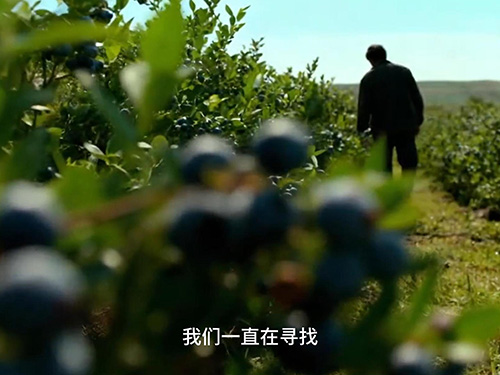 2025中国磷复肥工业展 5号馆 B-1204 展位！