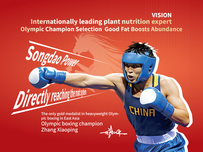 Olympic boxing champion Zhang Xiaoping has become the brand ambassador for Songdao Chemical!