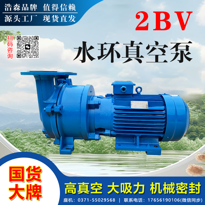 2BV水环真空泵