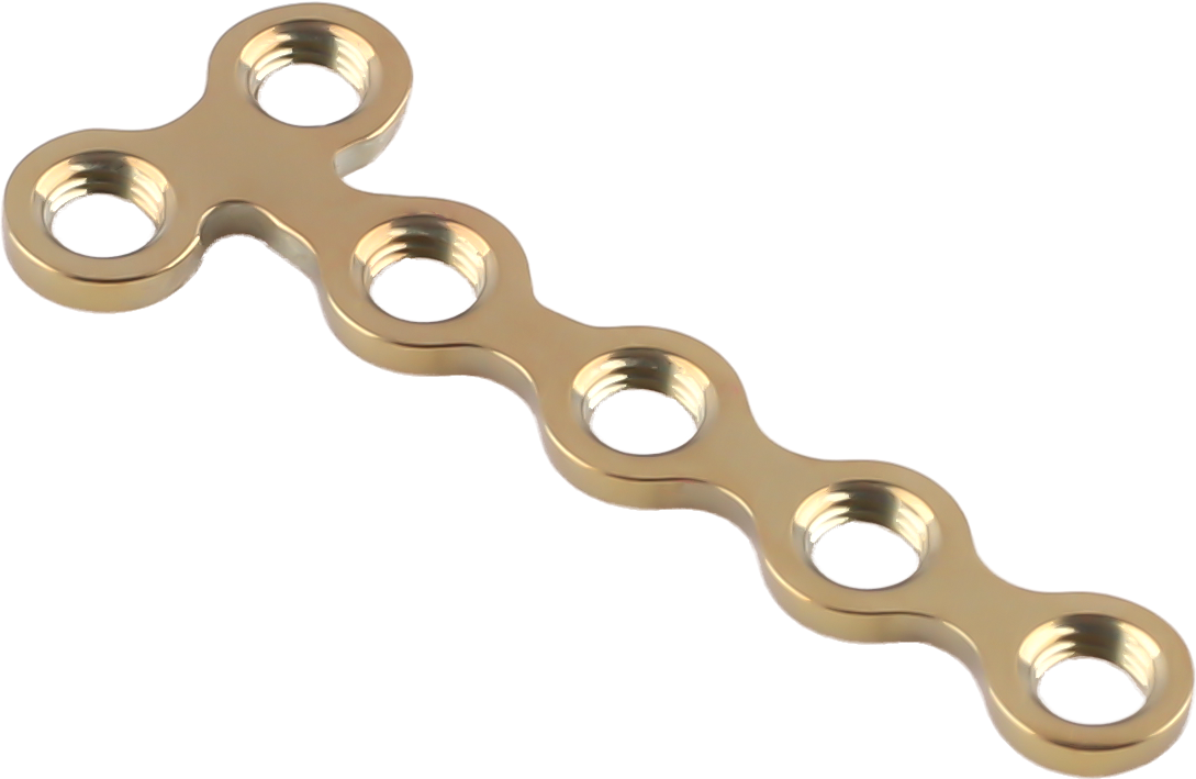 Reconstruction T plate-IX(HA2.0/HC2.0)