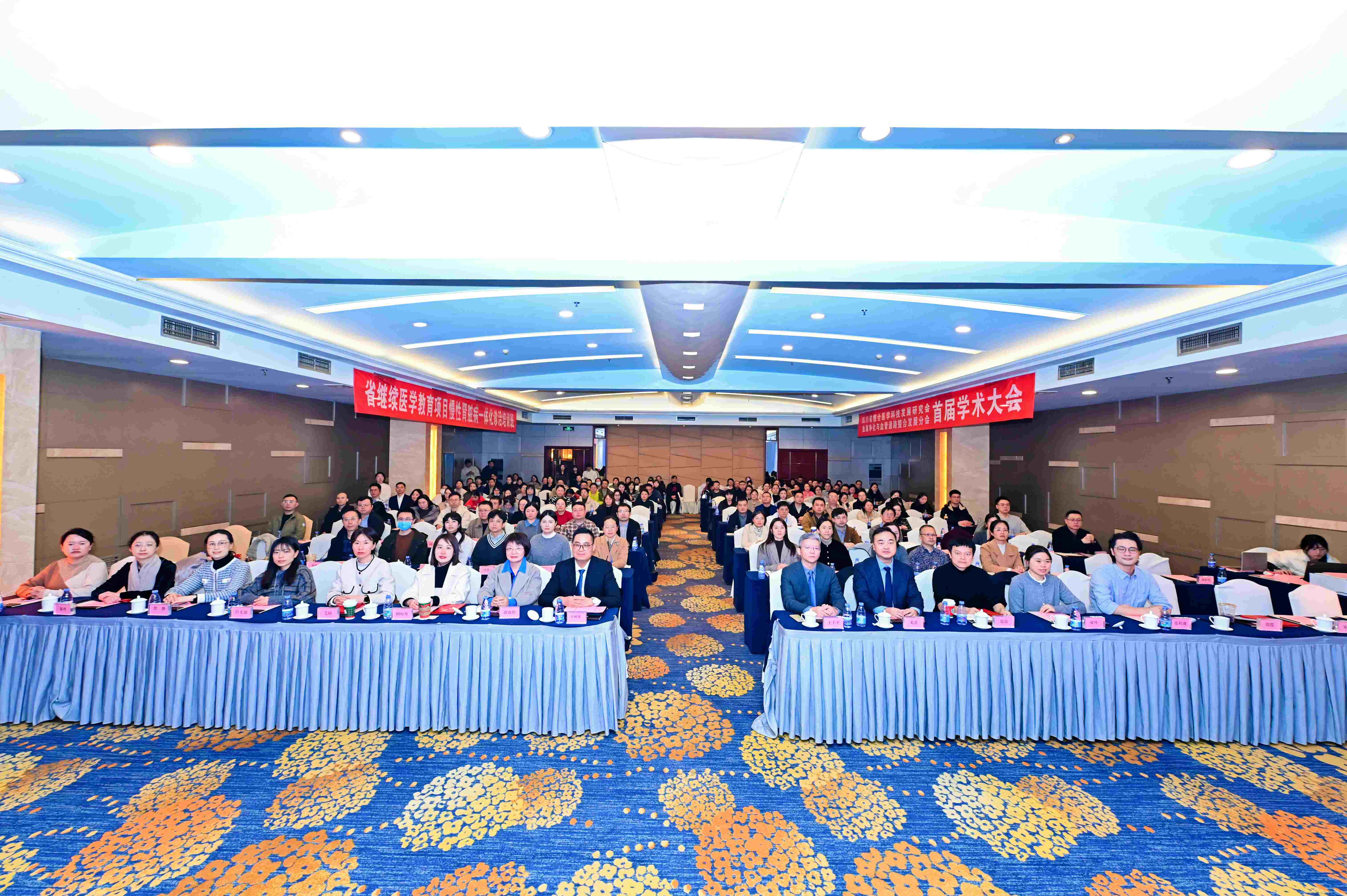 血液净化与血管通路整合发展分会