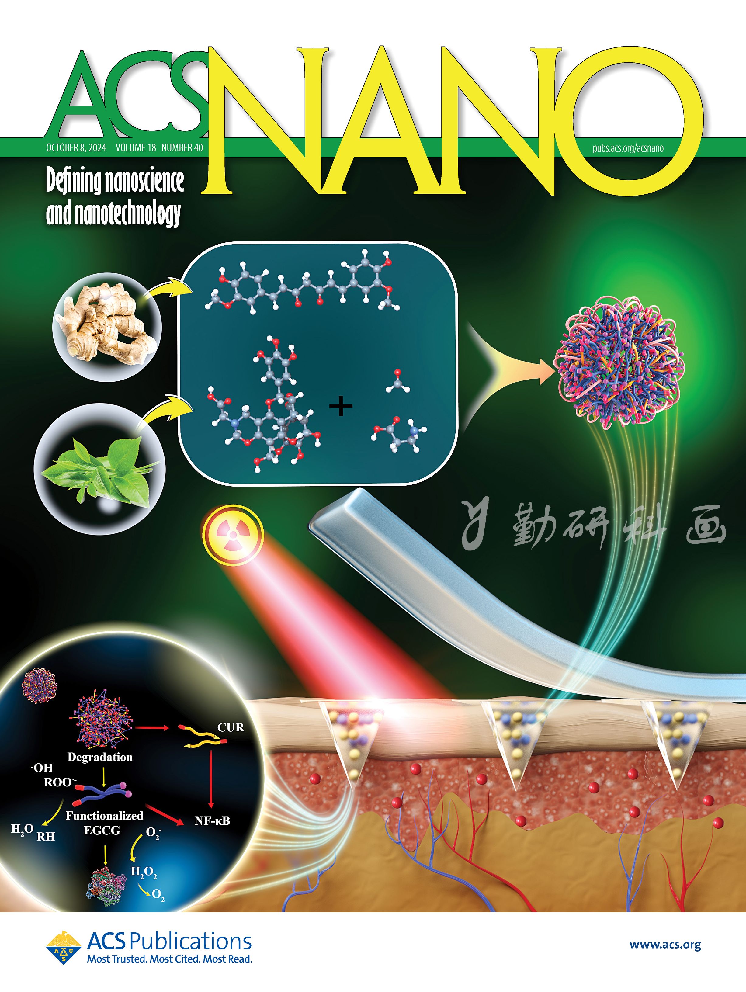 ACS NANO