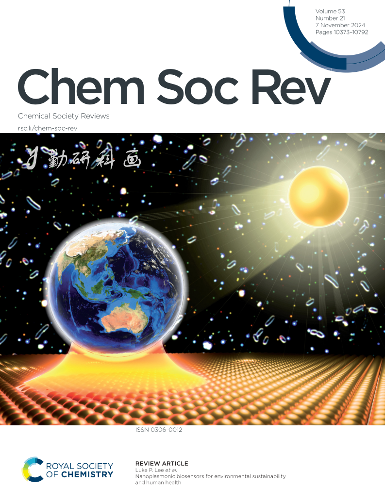 Chem Soc Rev