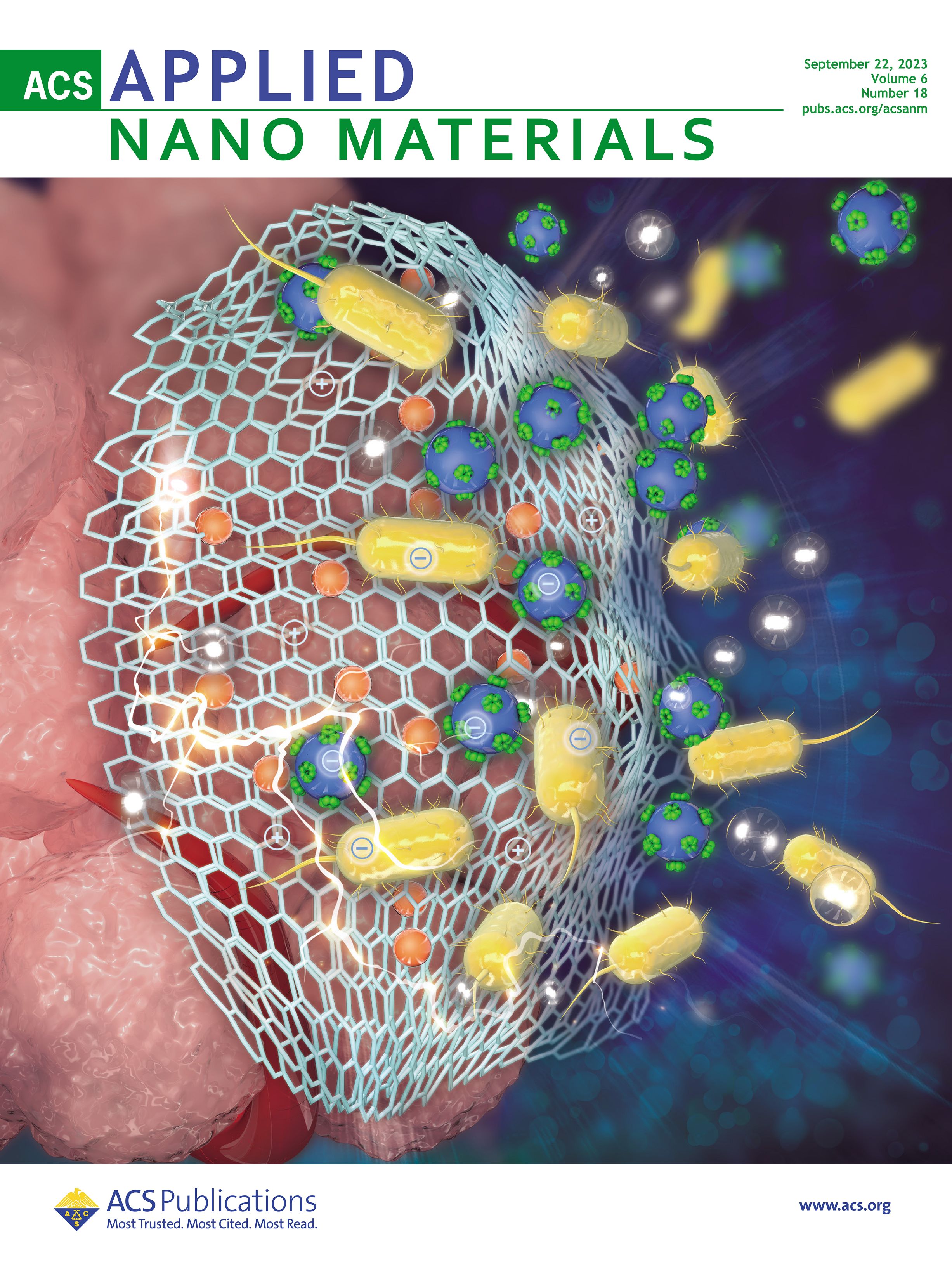 ANM ACS Applied Nano Materials