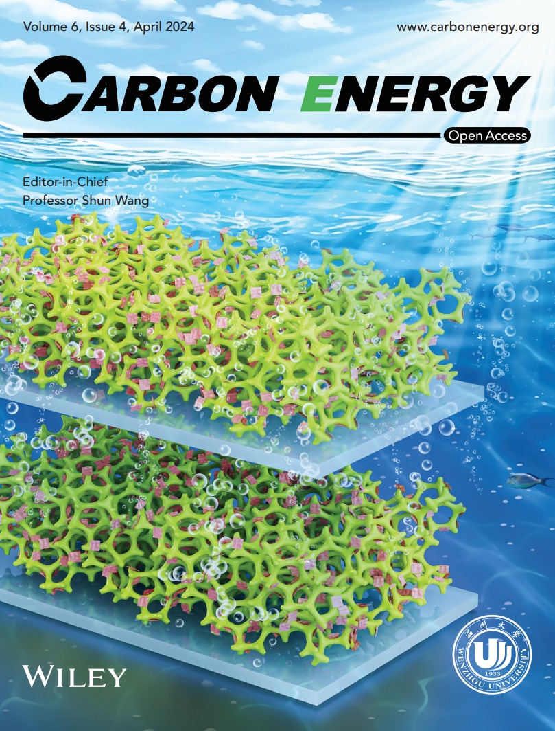 CARBON ENERGY