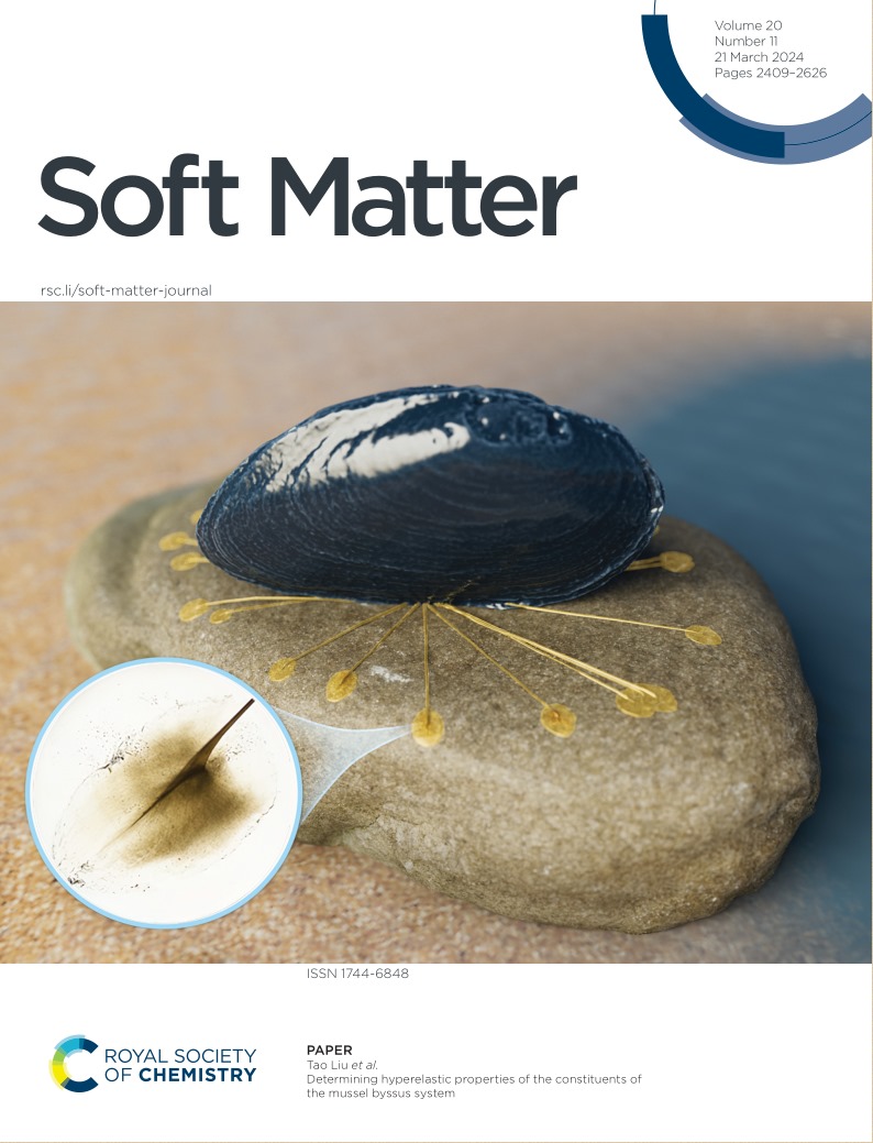 Soft Matter