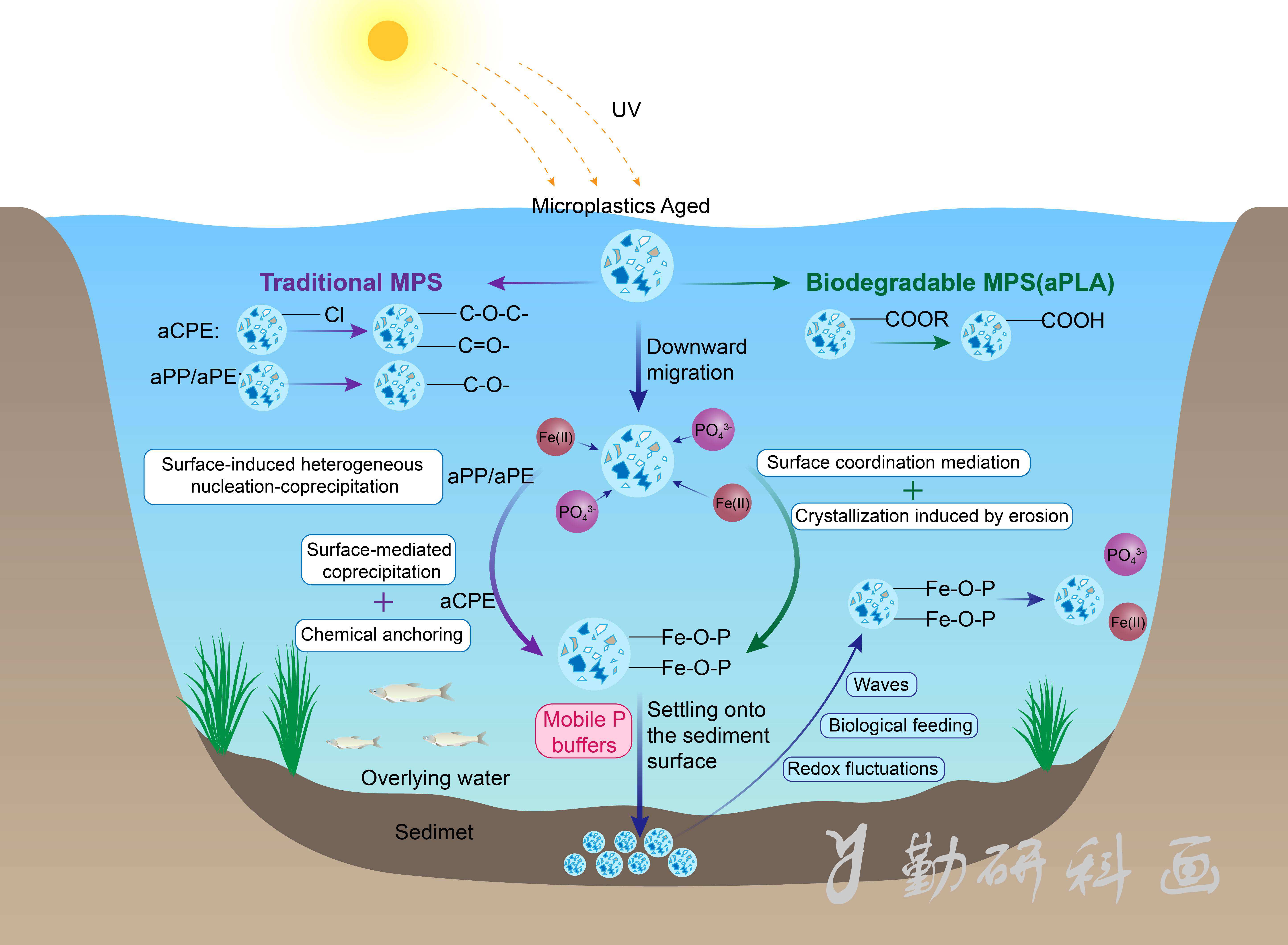 Water Research