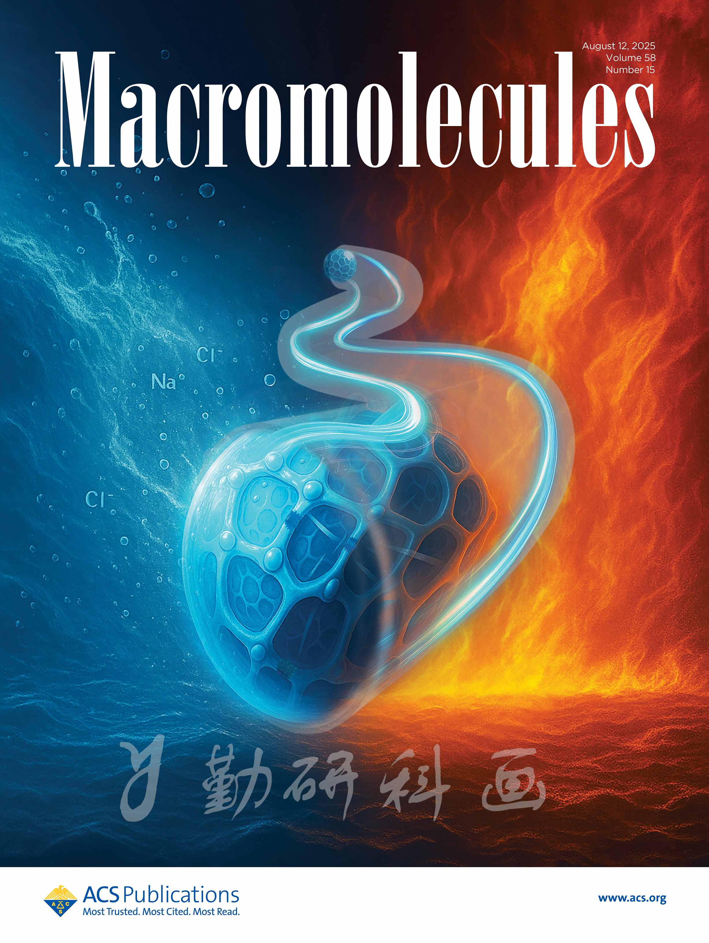 Macromolecules