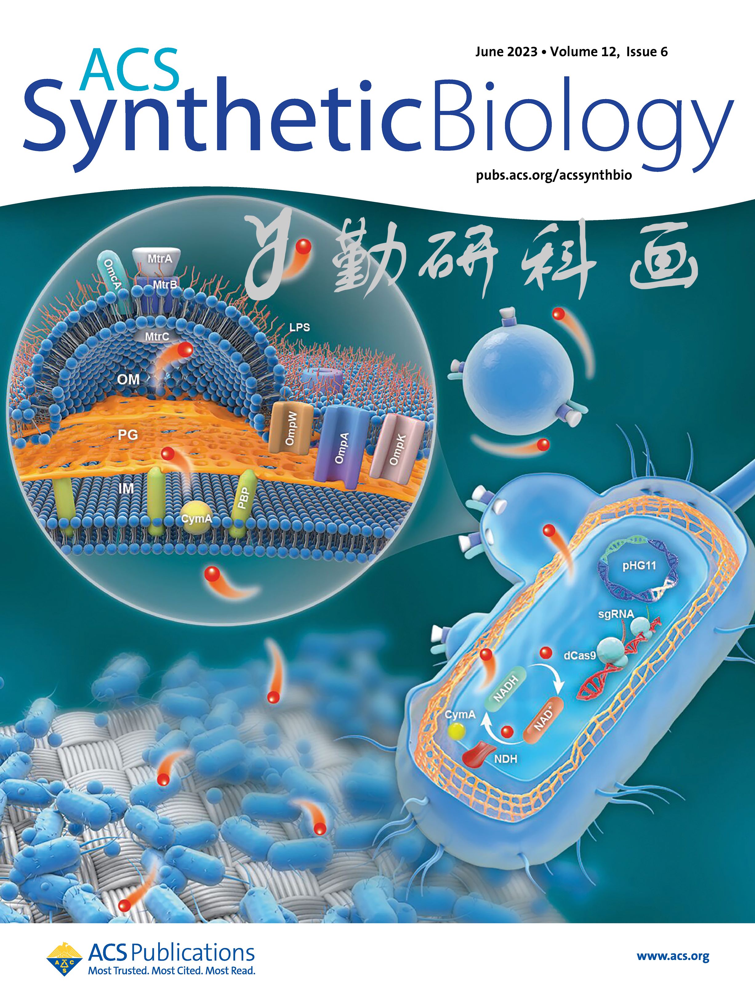 ACS Synthetic Biology