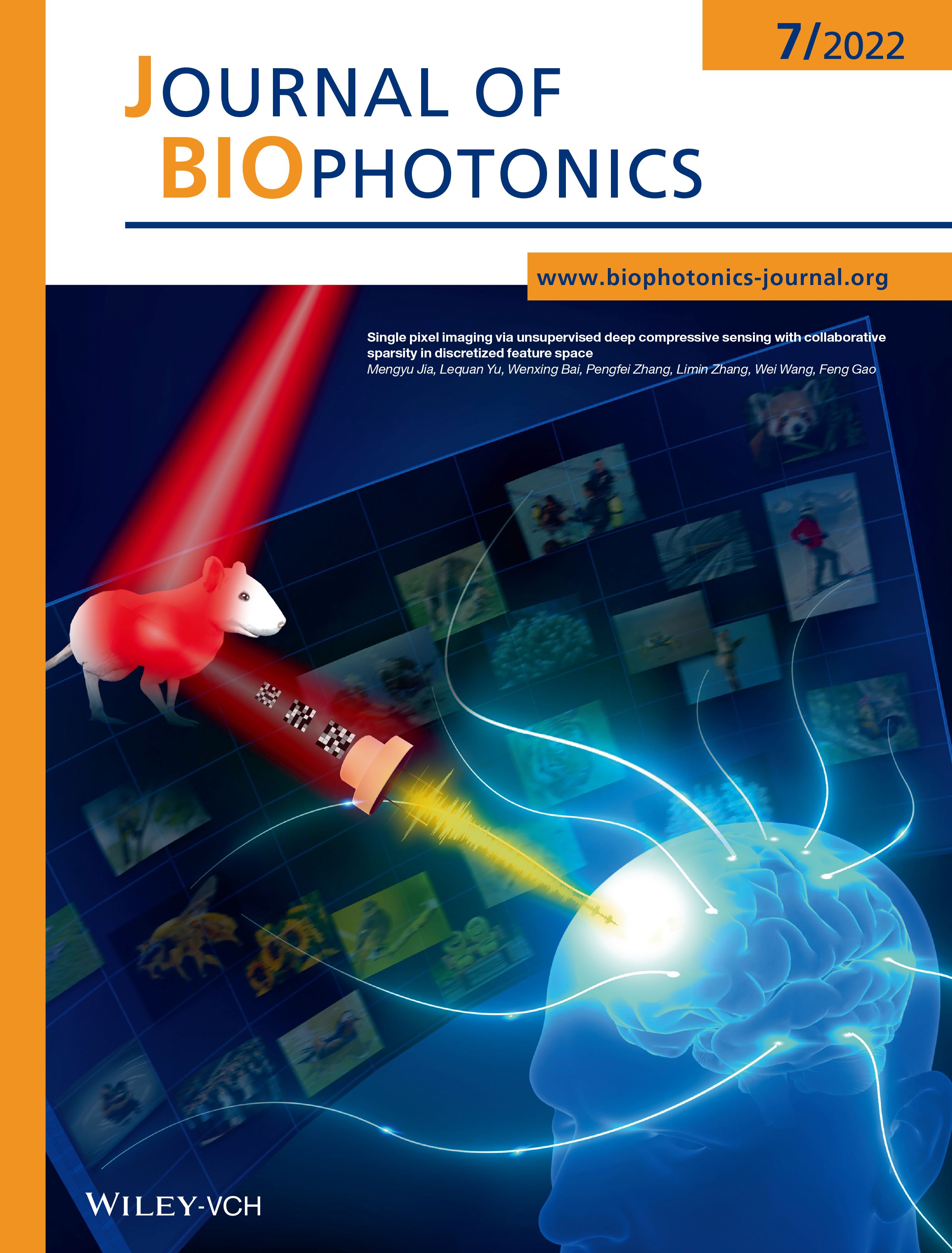 JOURNAL OF BIOPHOTONICS