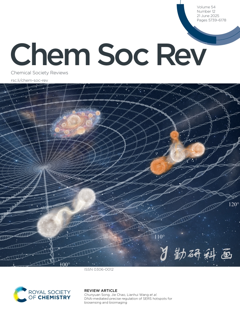Chem Soc Rev