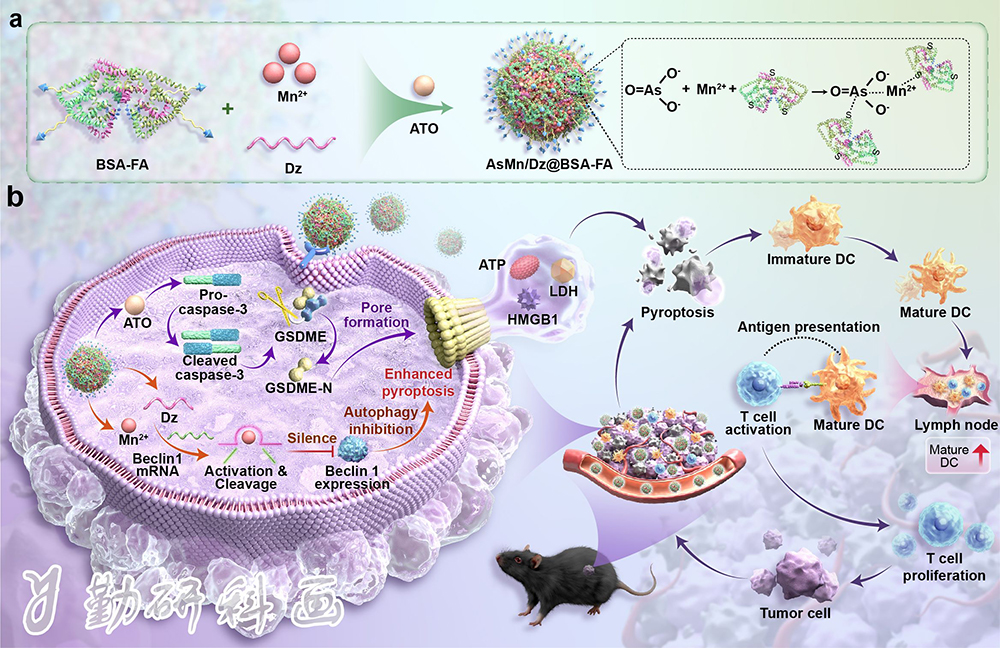 Asian Journal of Pharmaceutical Sciences