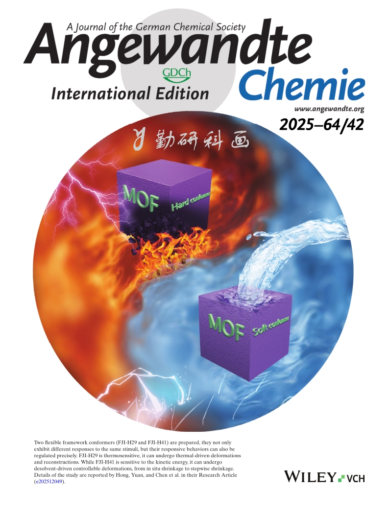 Angewandte Chemie.copy