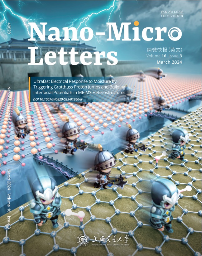 Nano Micro Letters