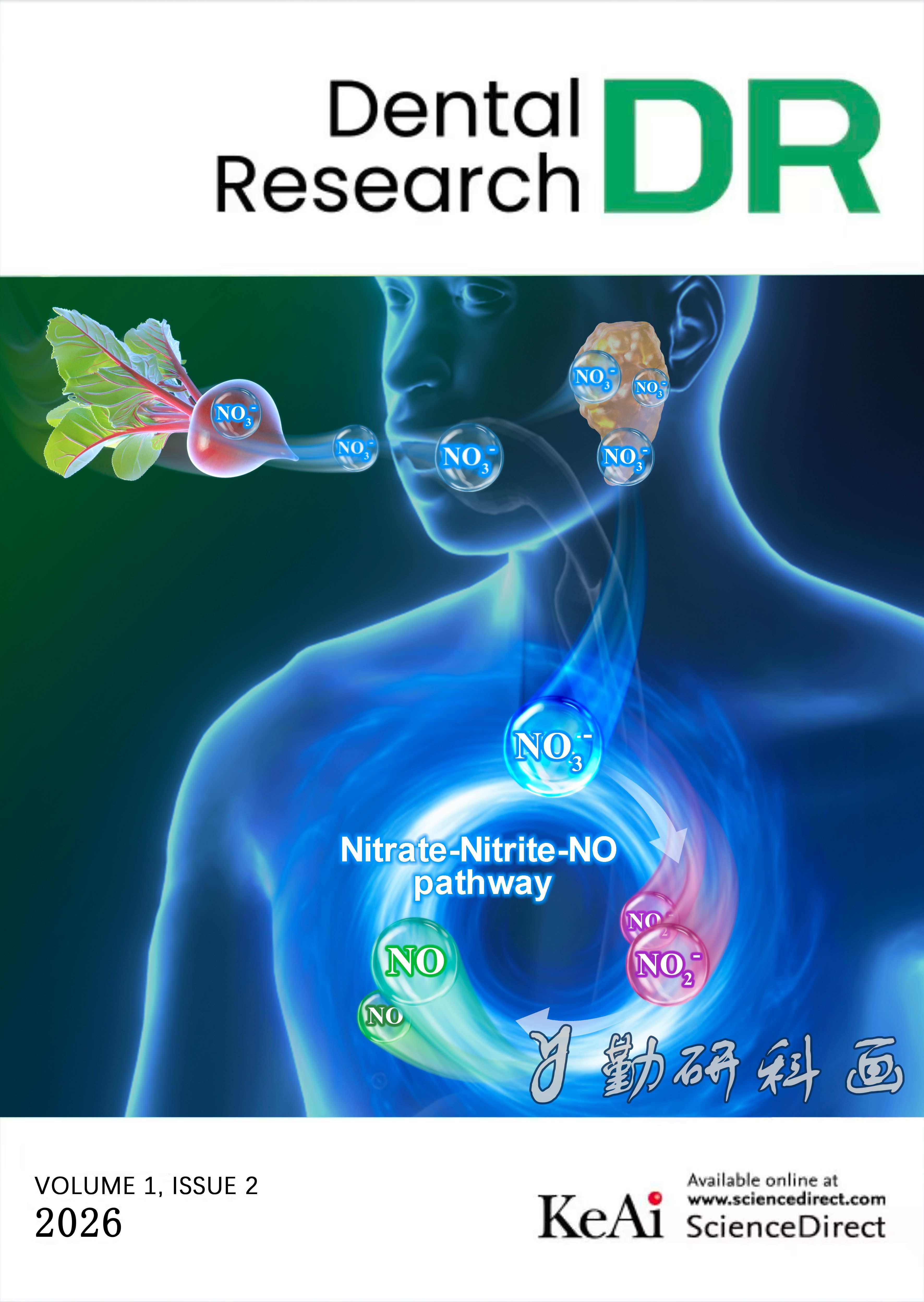 Dental Research