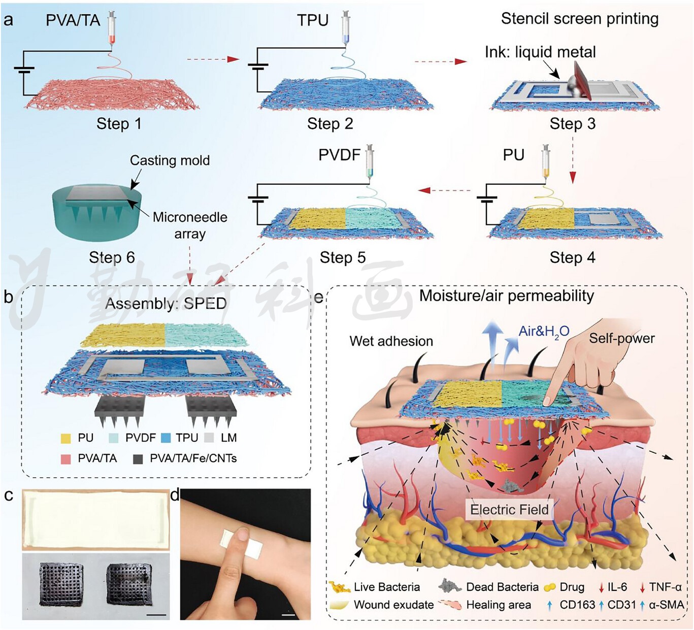 Advanced Functional Materials