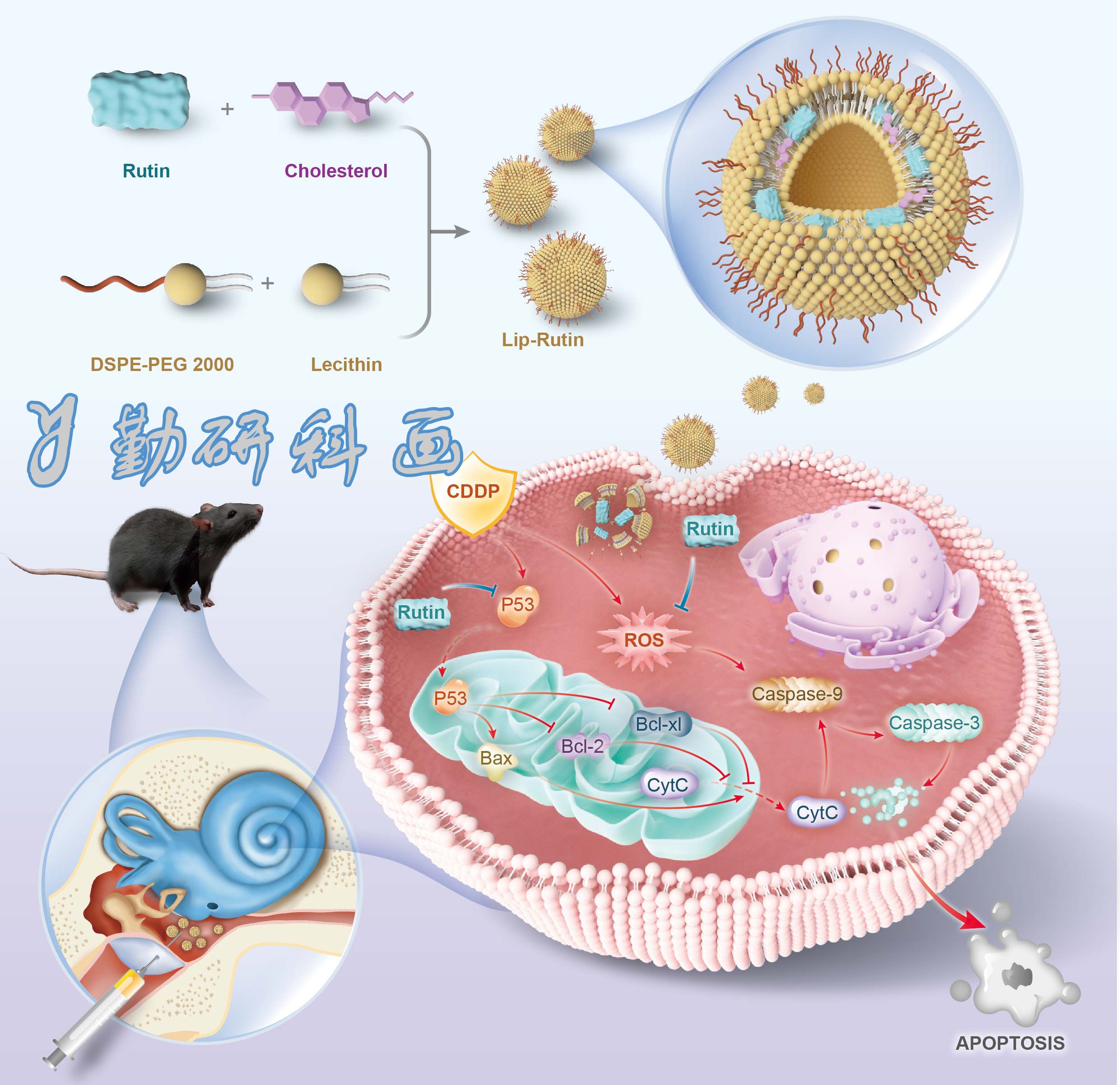 biomaterials research