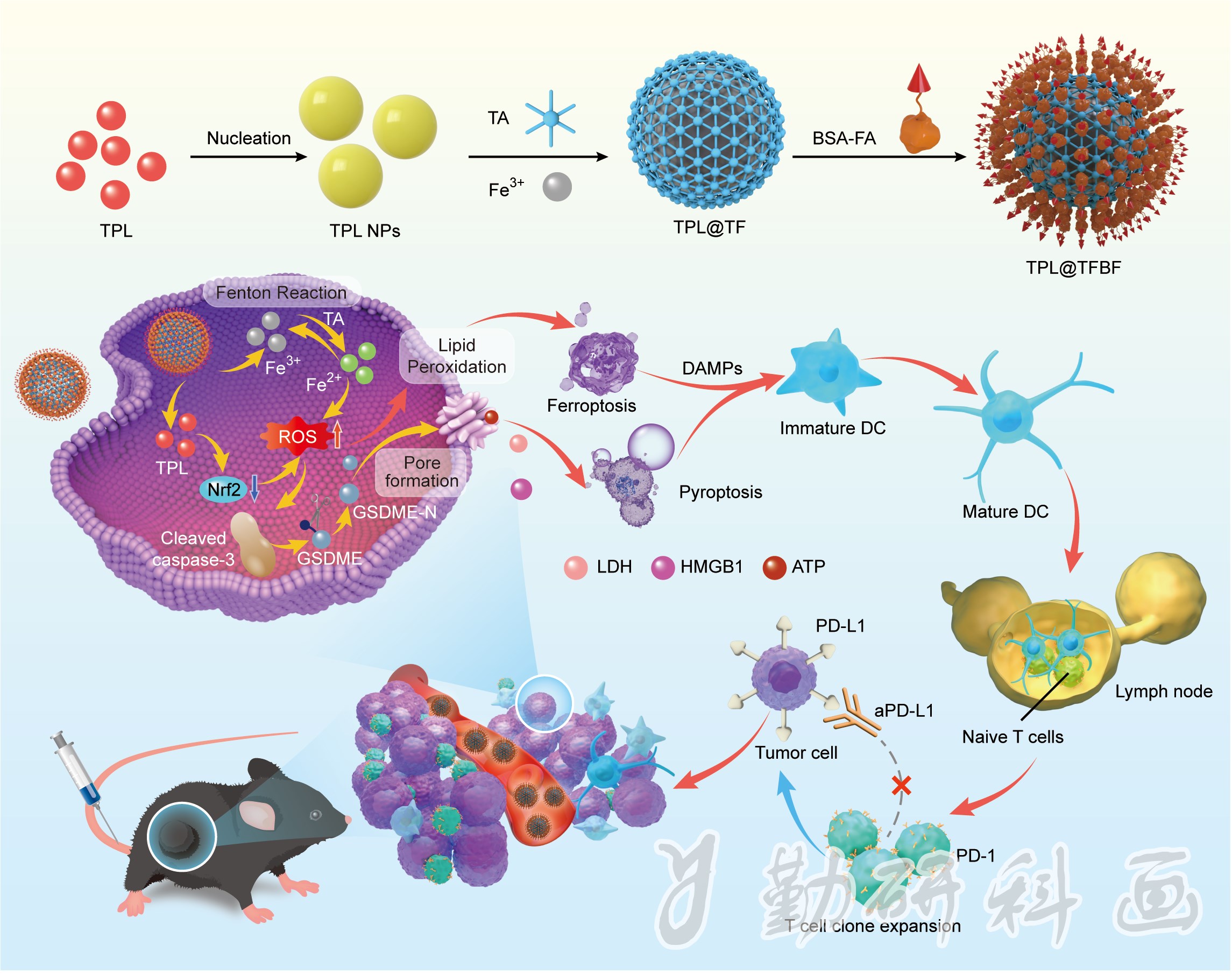 Journal of Nanobiotechnology