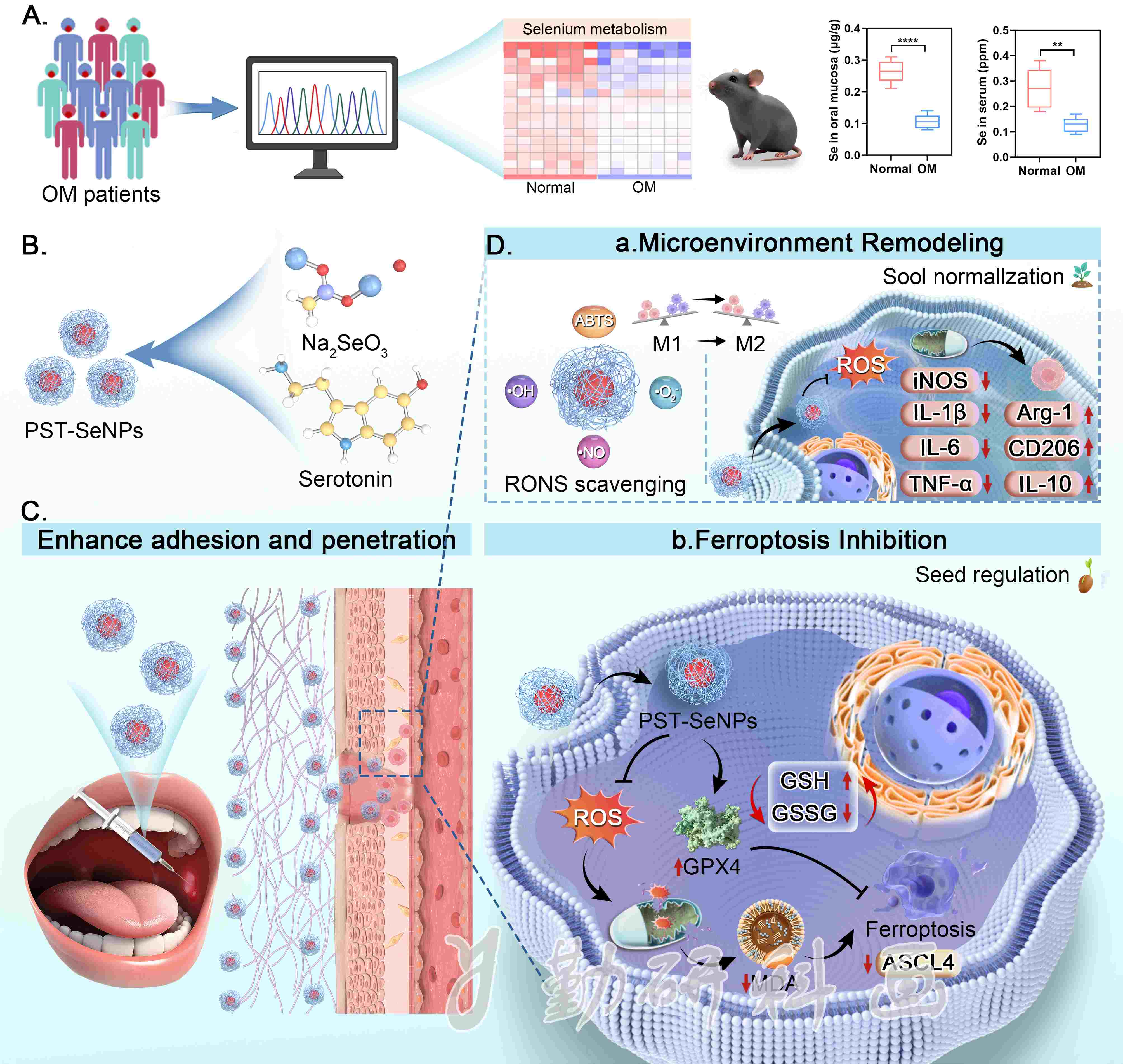 Biomaterials