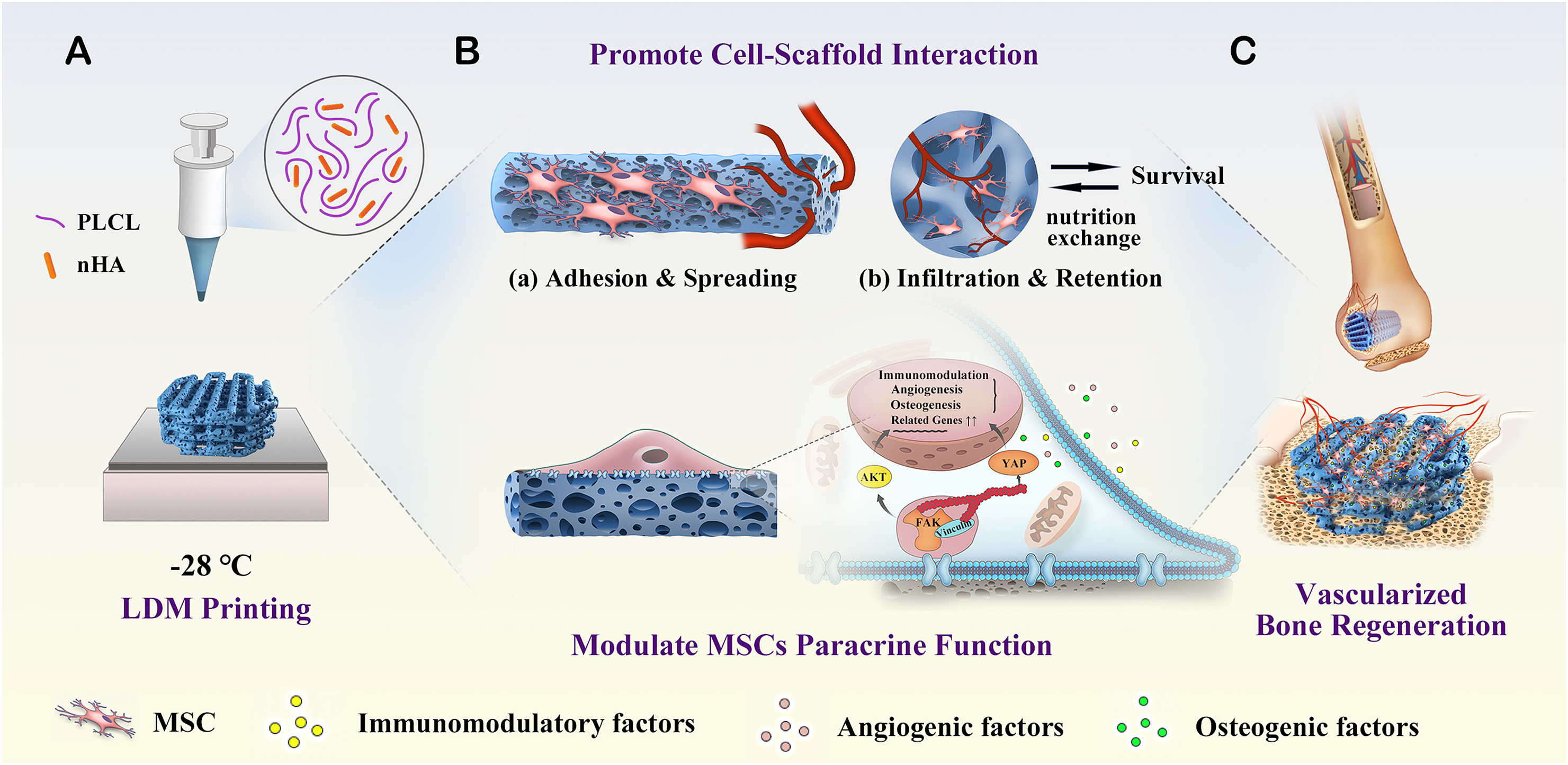 Biomaterials