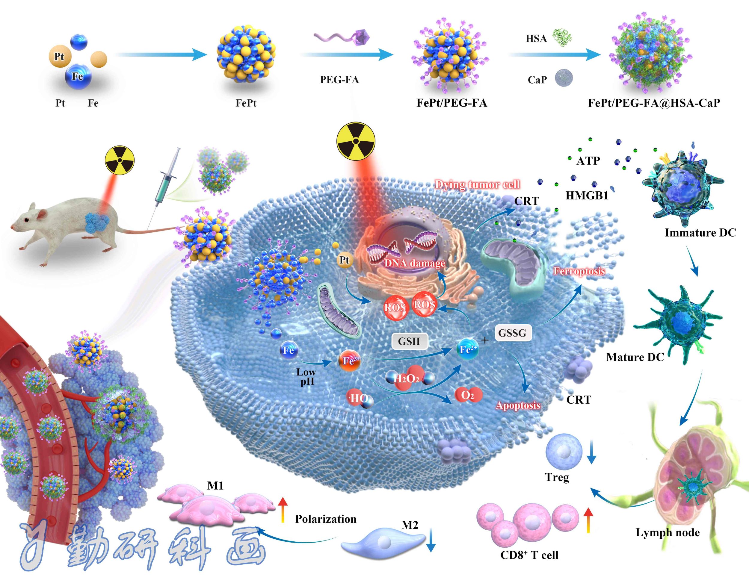 Drug Resistance Updates