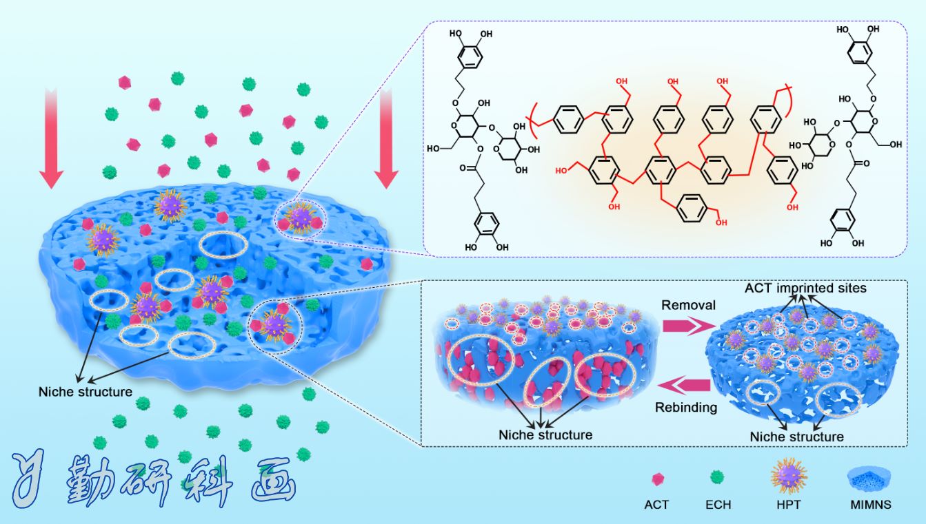 Separation and Purification Technology