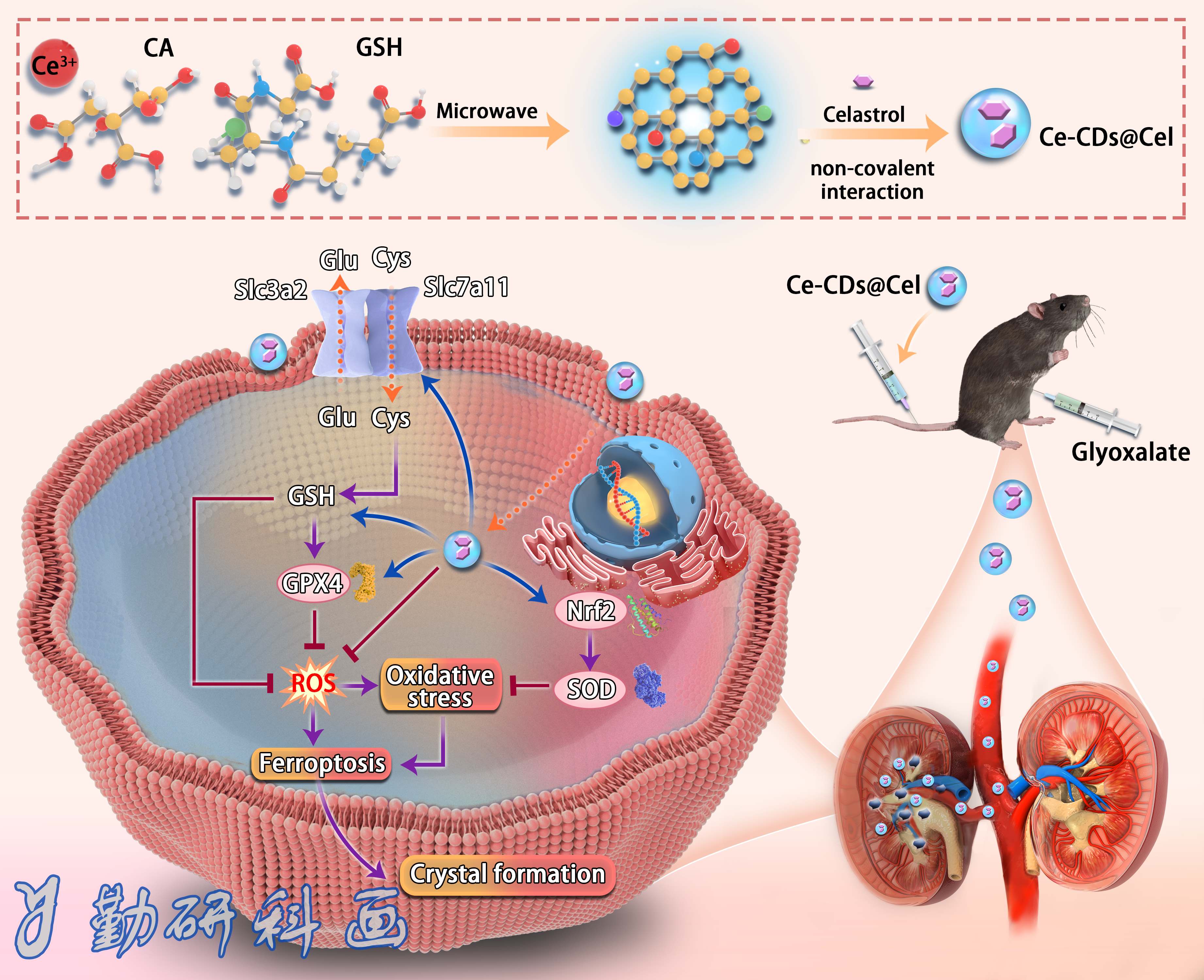 Advanced Functional Materials