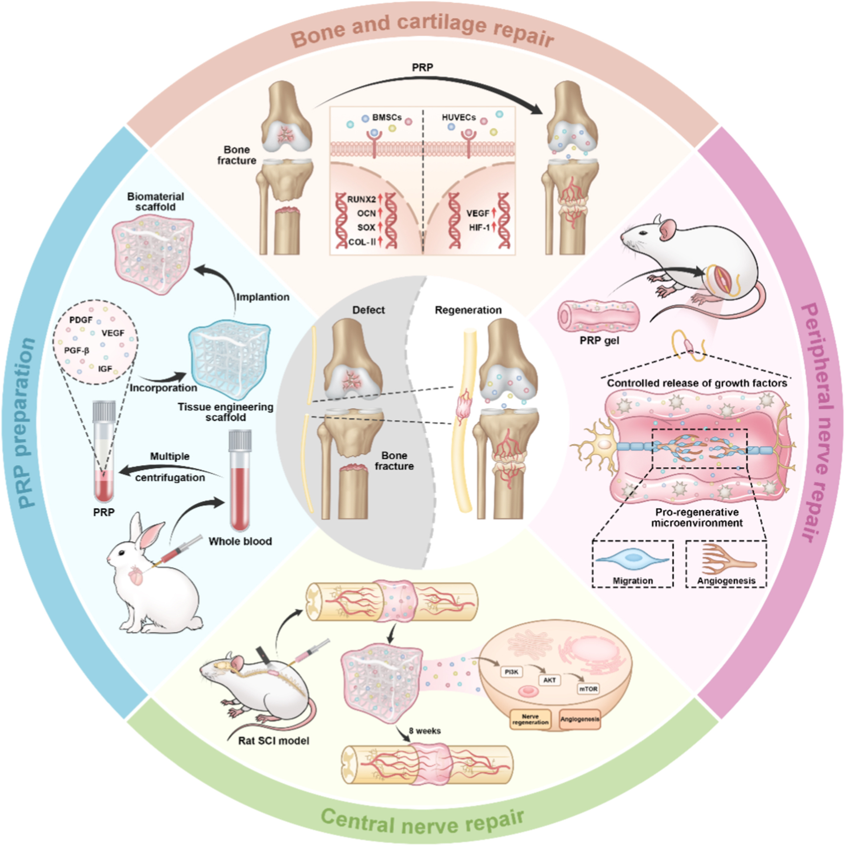 Materials Today Bio