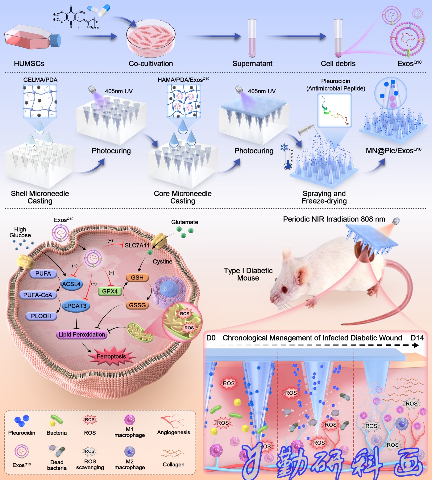 Journal of Nanobiotechnology