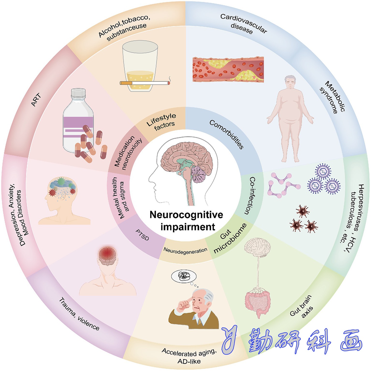 Frontiers in Neurology