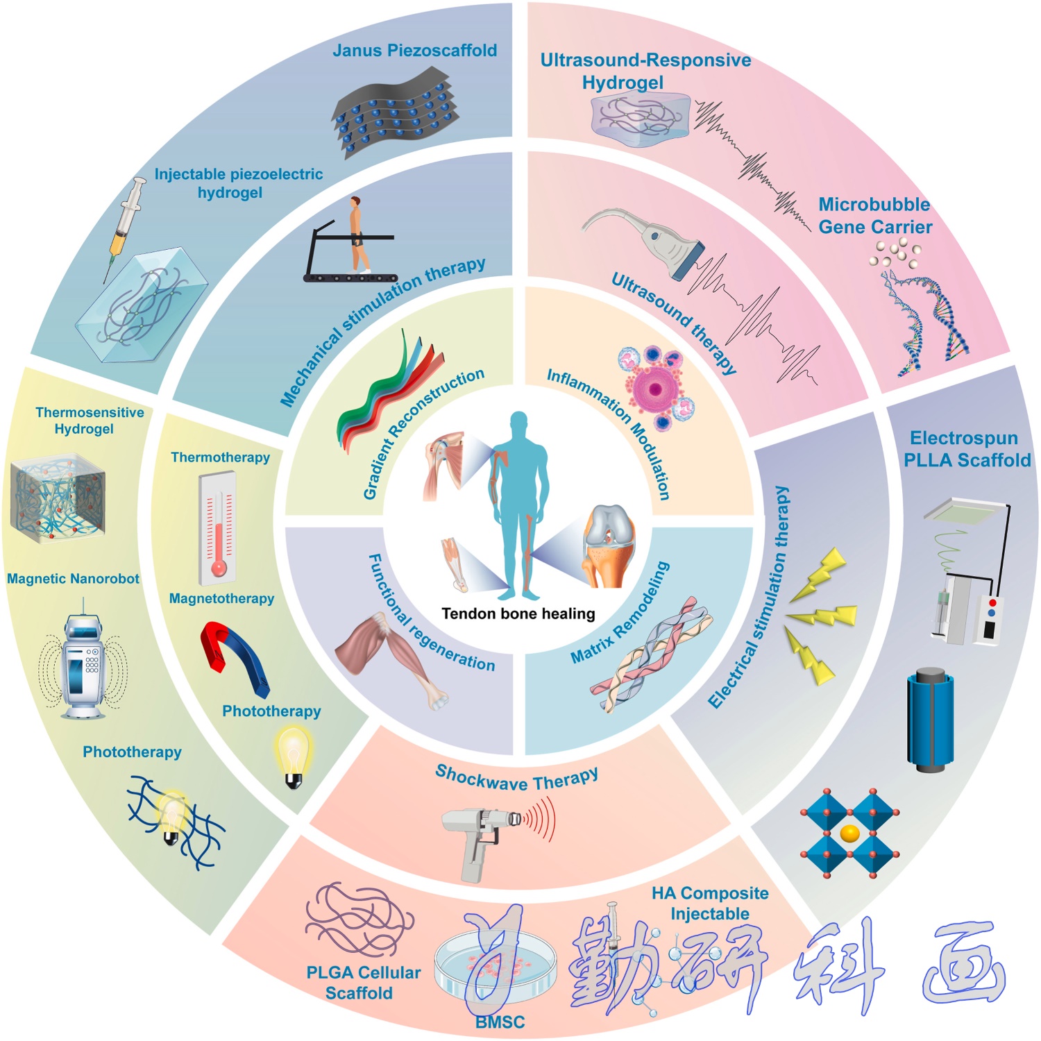 Bioactive Materials