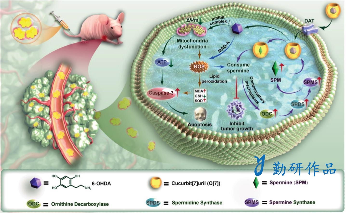 Chemical Engineering Journal