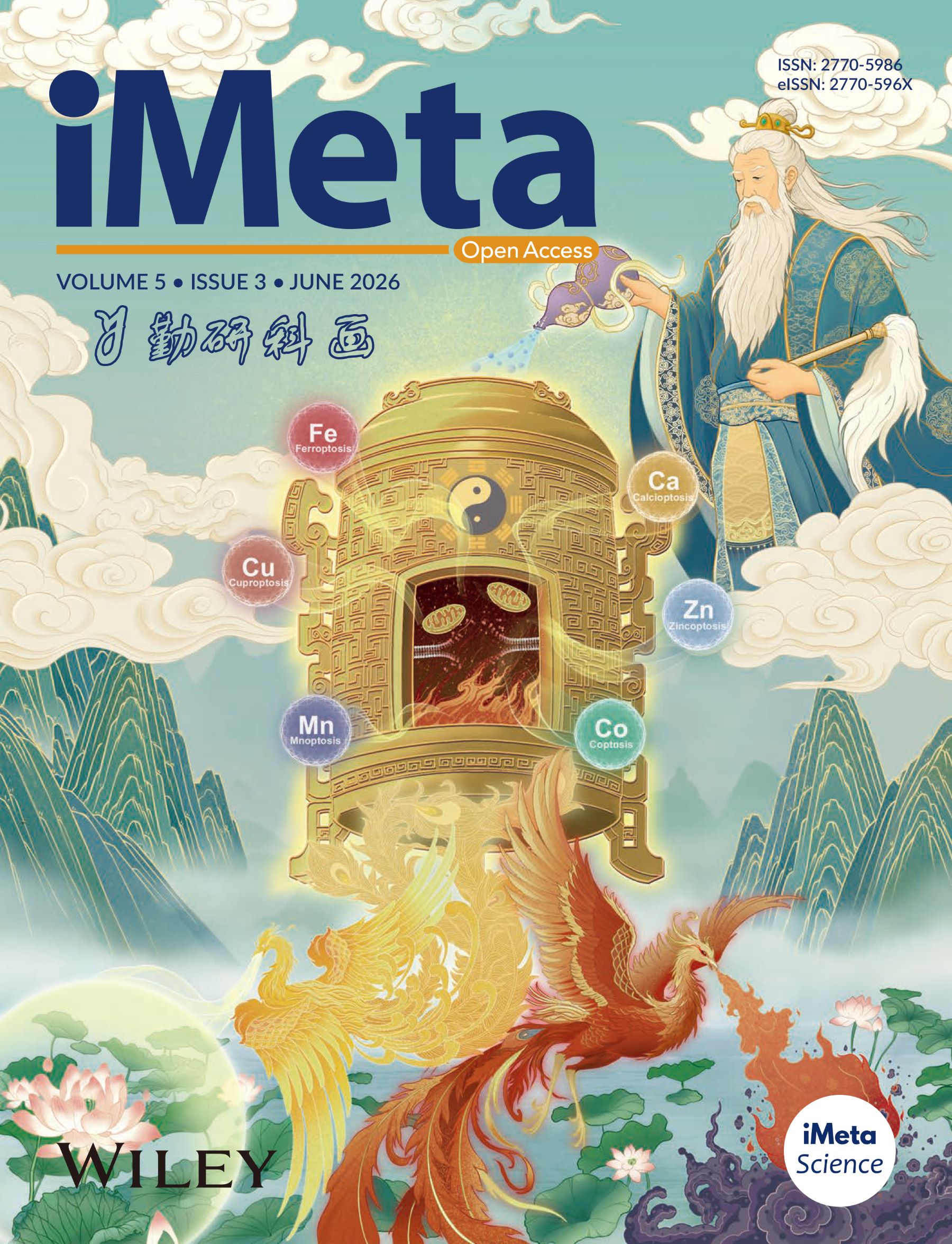 iMeta