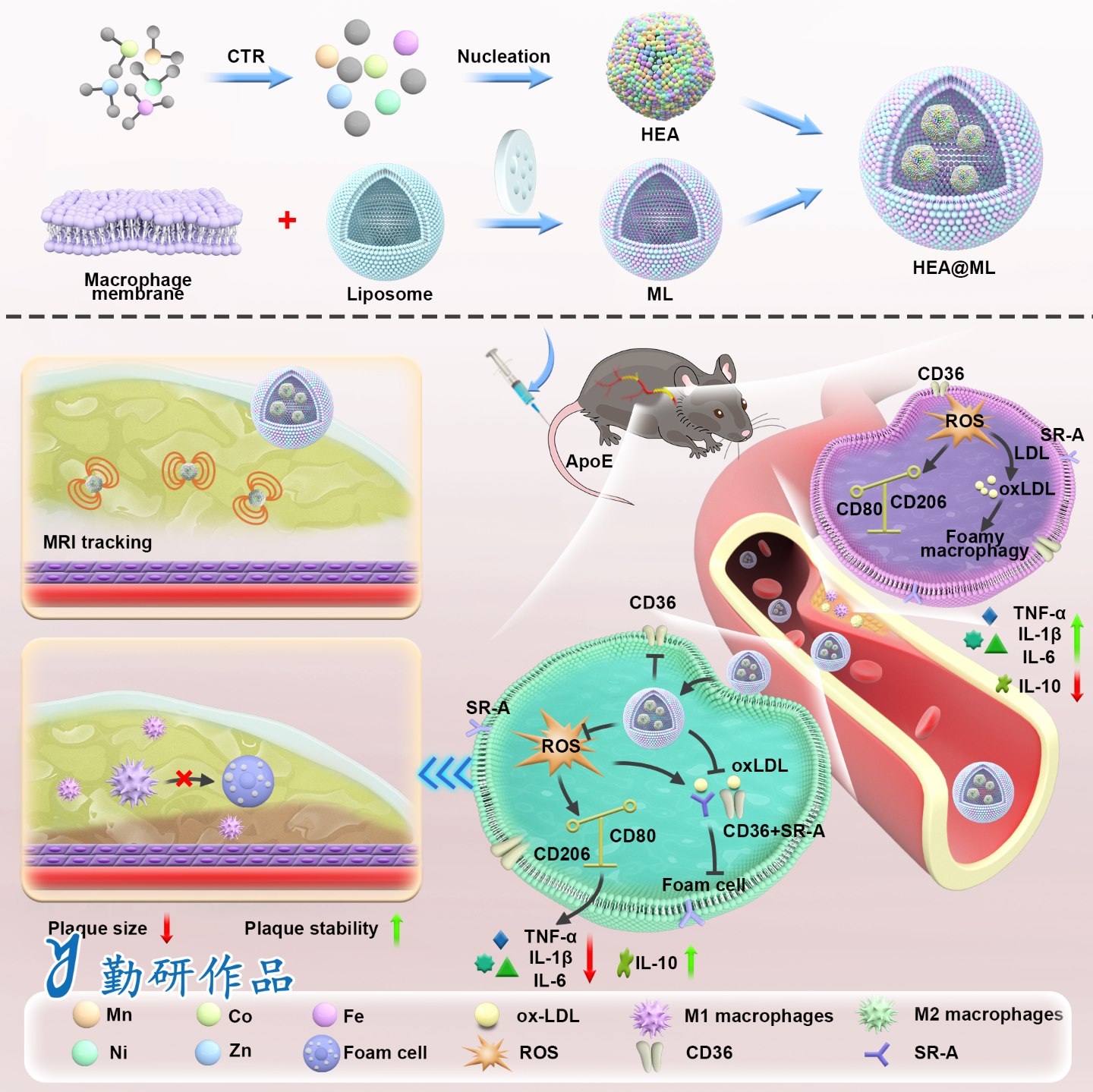 Journal of Nanobiotechnology
