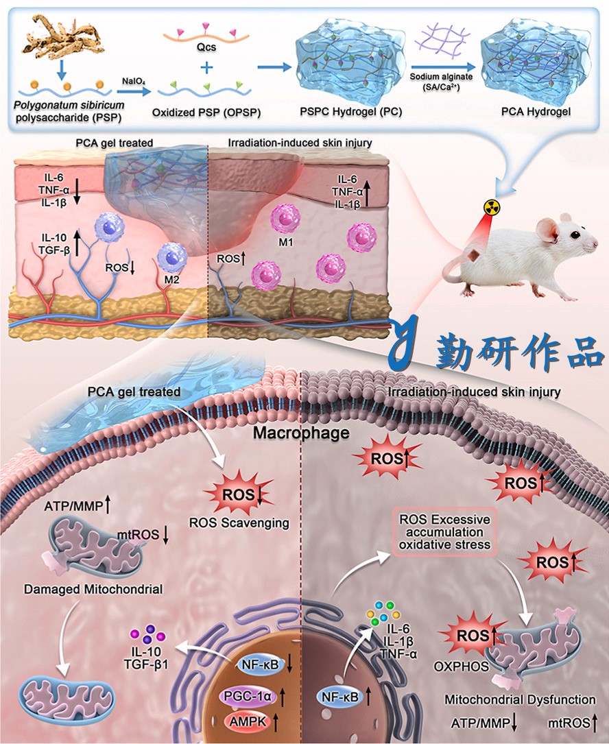 Materials Today Bio