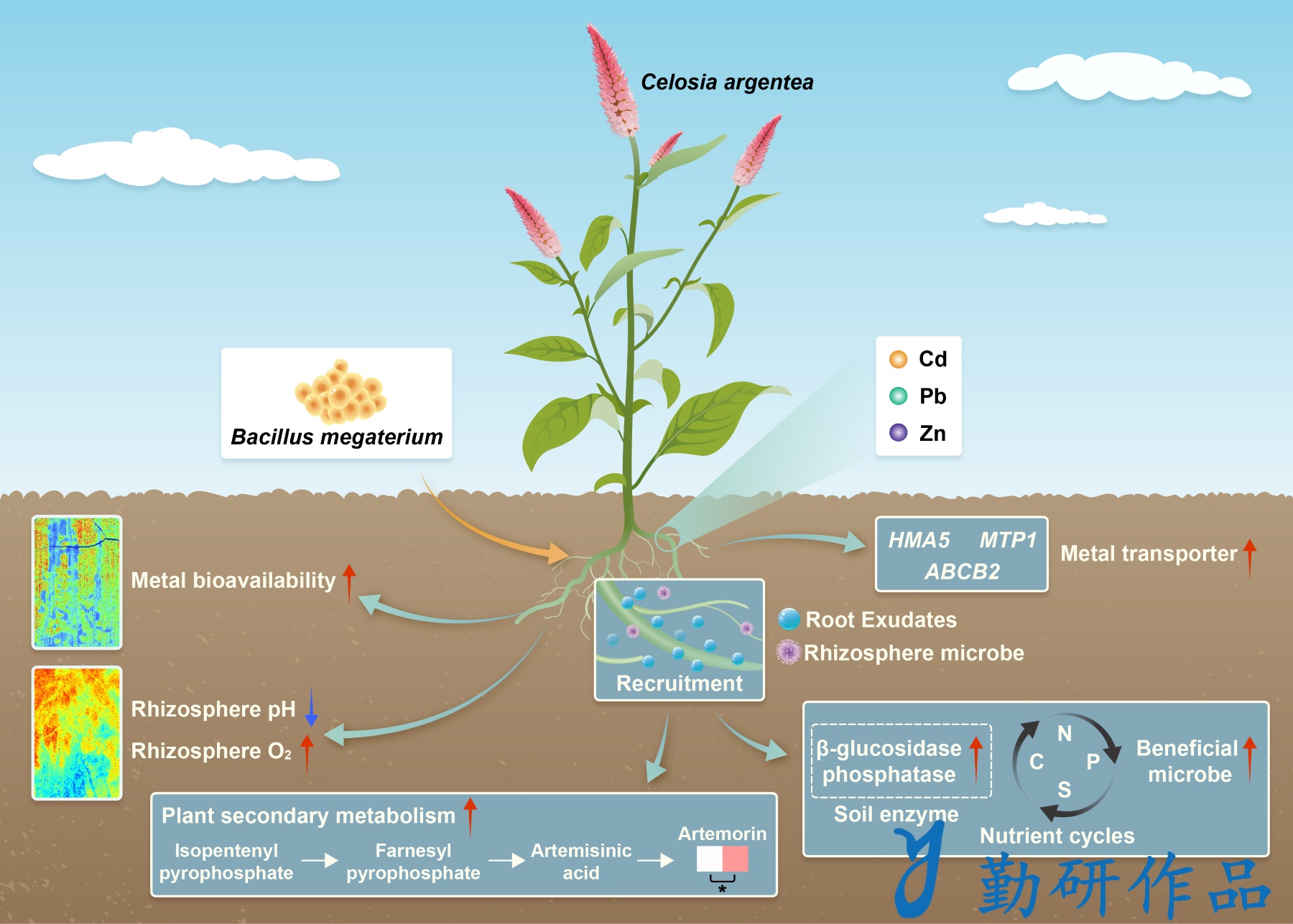 Bioresource Technology