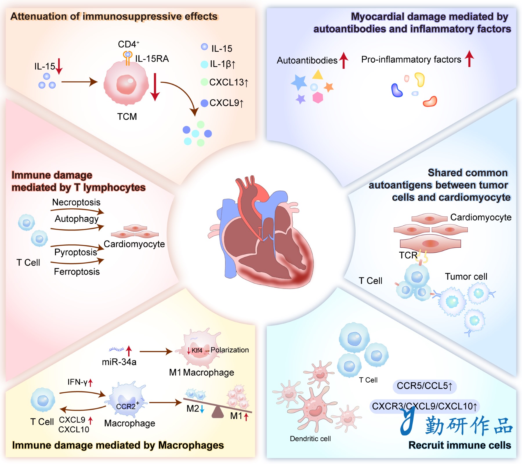 Seminars in Cancer Biology